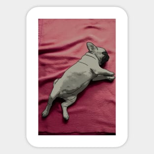 Sleeping Pug Puppy Sticker